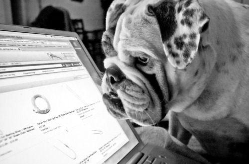 interested