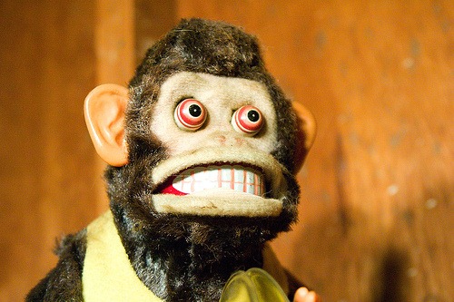 monkey