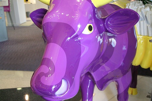 purplecow