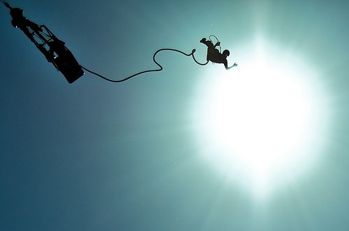 bungy
