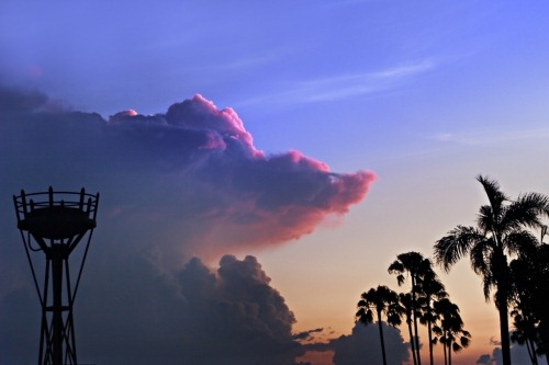 epcot-sky-2