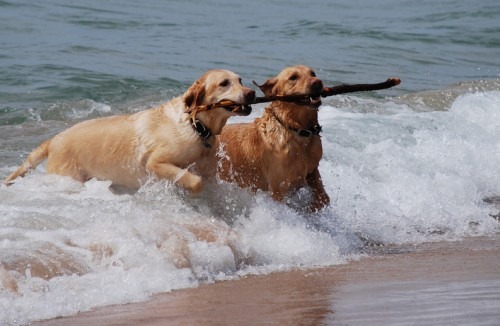 helping