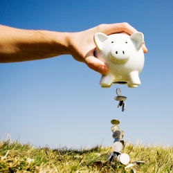piggy bank