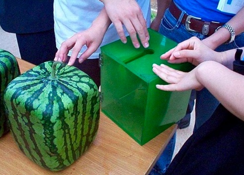 Thinking in the box?